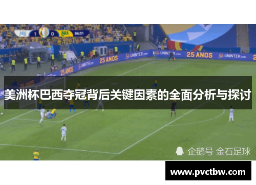 美洲杯巴西夺冠背后关键因素的全面分析与探讨